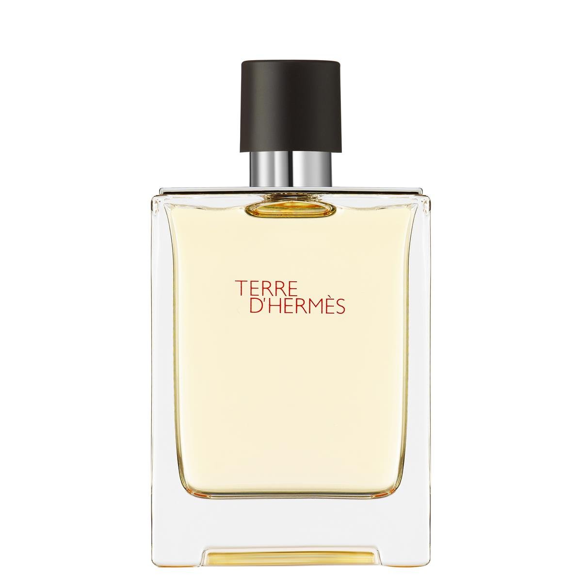 Terre d'Hermès, Eau de Toilette 100 ml
