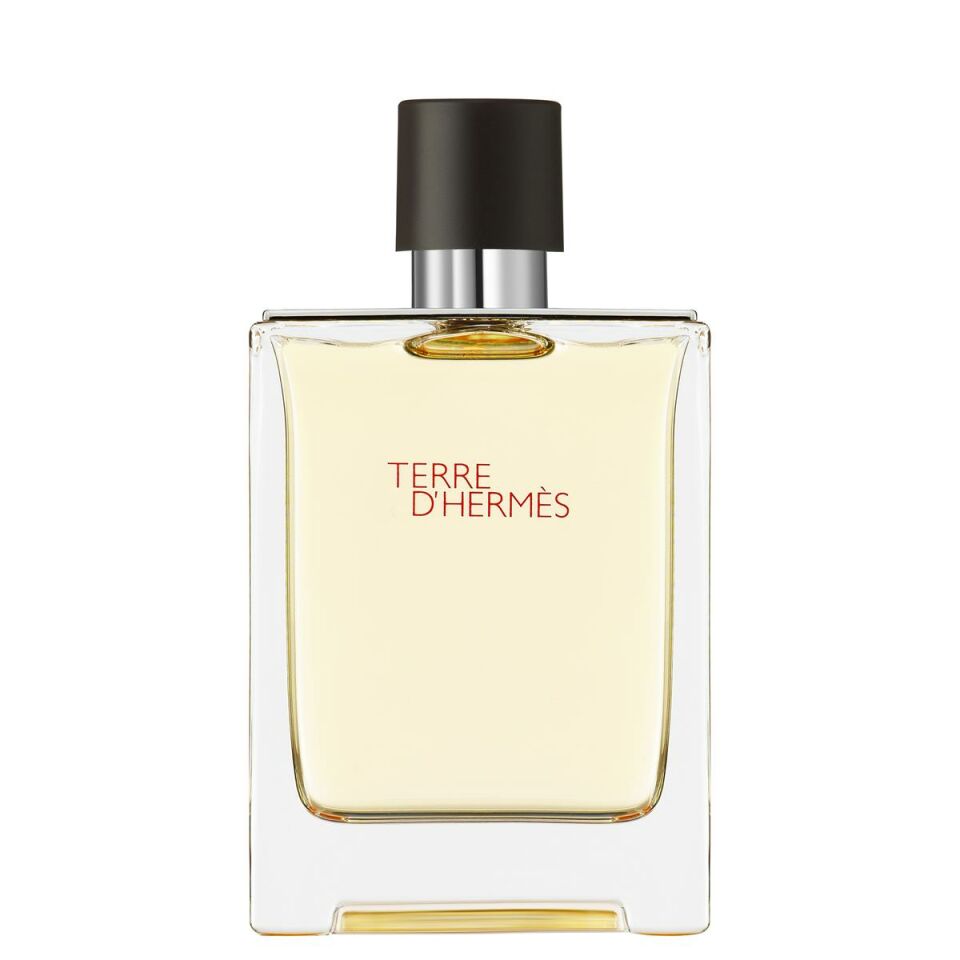 Terre d'Hermès, Eau de Toilette 100 ml