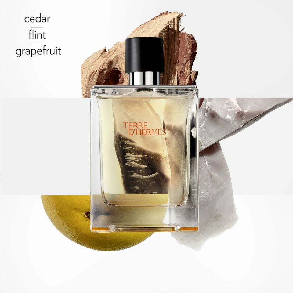 Terre d'Hermès, Eau de Toilette 100 ml