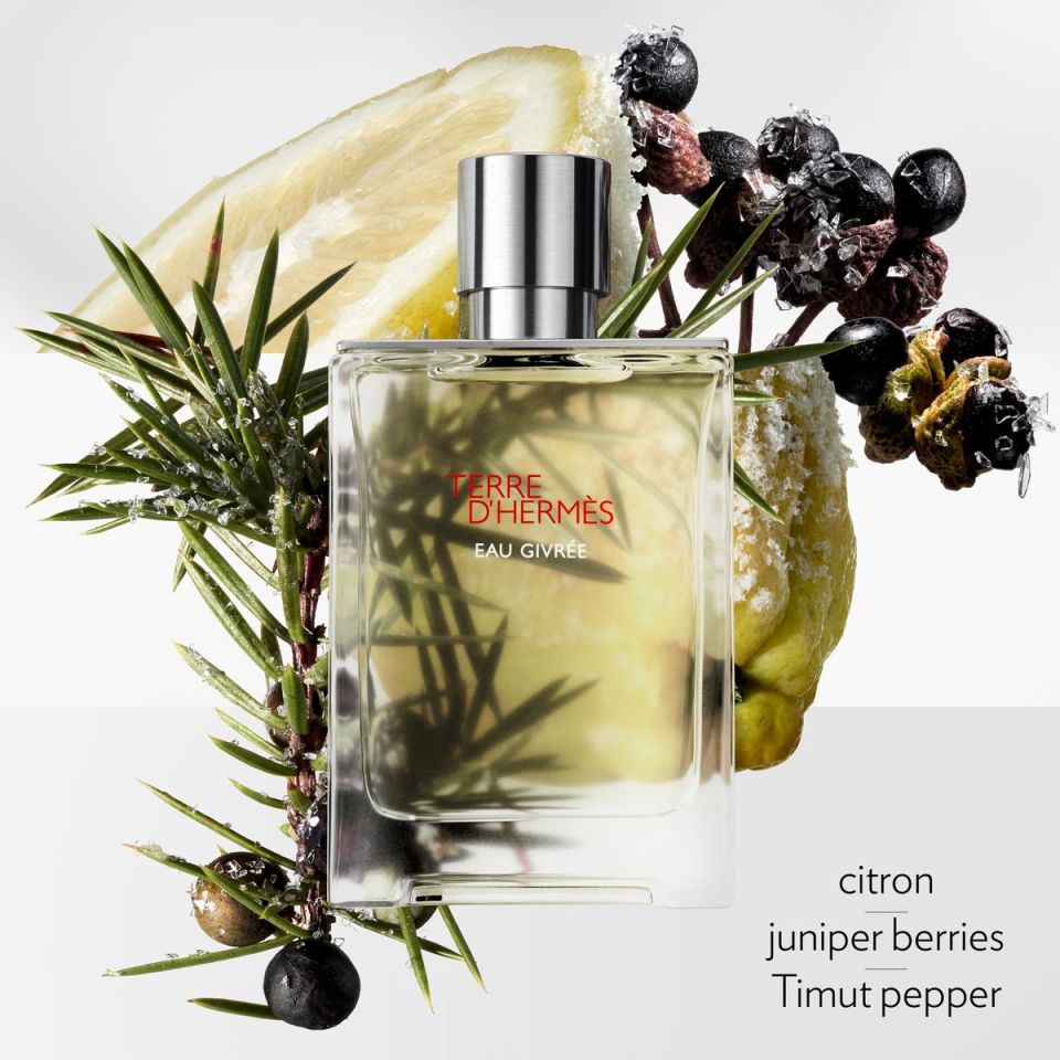 Terre d'Hermès Eau Givrée, Eau de Parfum 100 ml