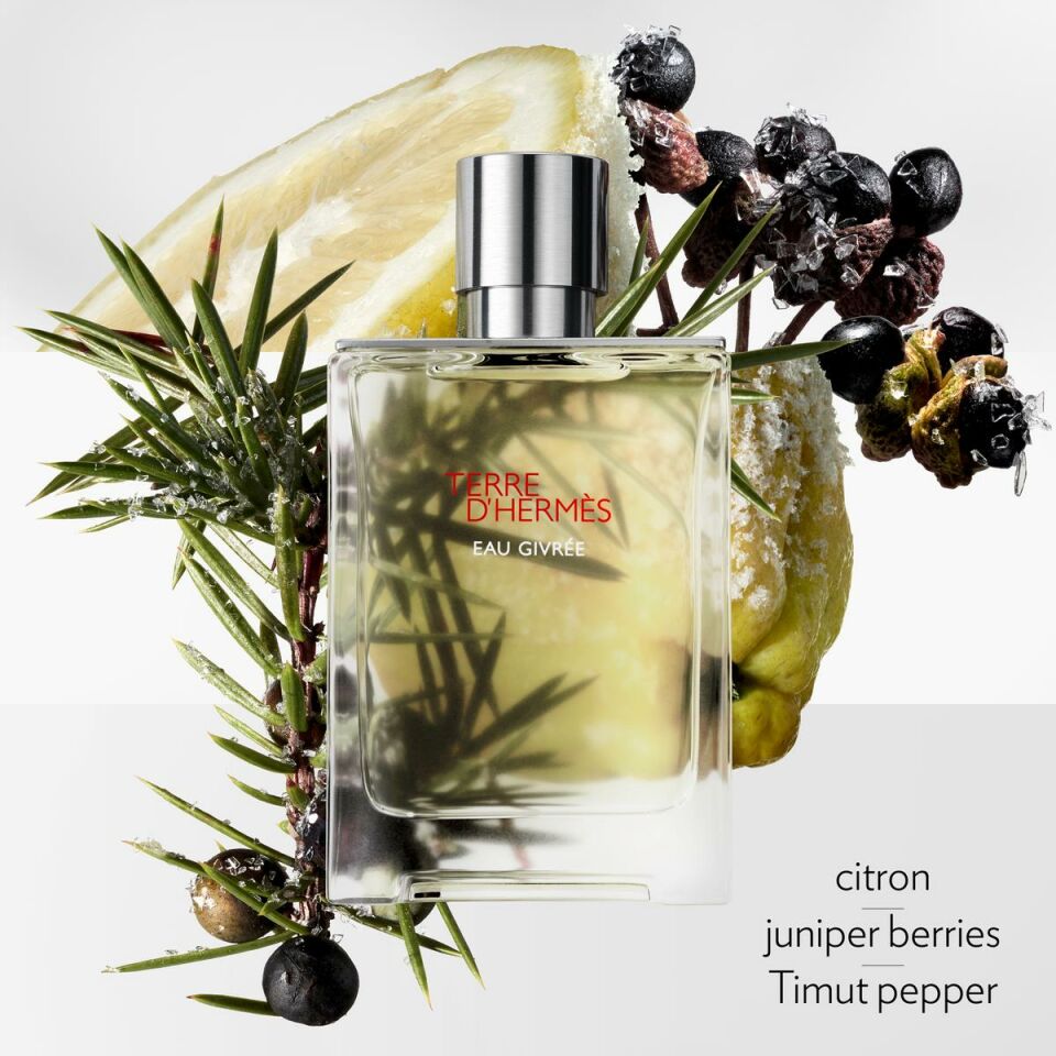 Terre d'Hermès Eau Givrée, Eau de Parfum 50 ml
