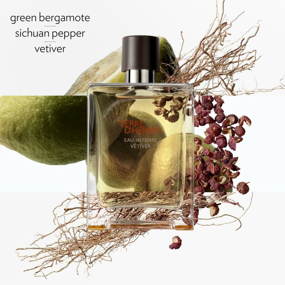 Terre d'Hermès Eau Intense Vétiver, Eau de Parfum 50 ml