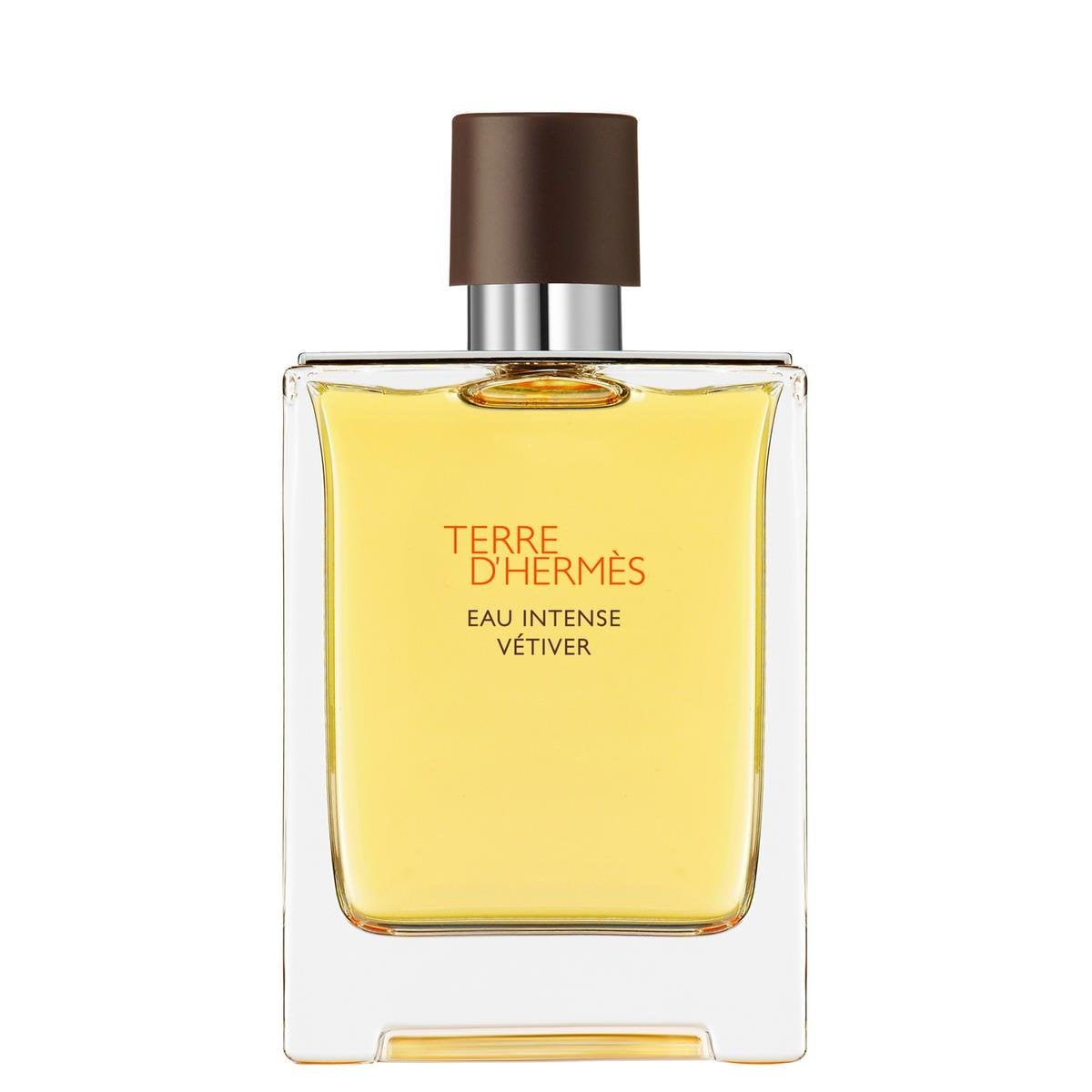 Terre d'Hermès Eau Intense Vétiver, Eau de Parfum 100 ml