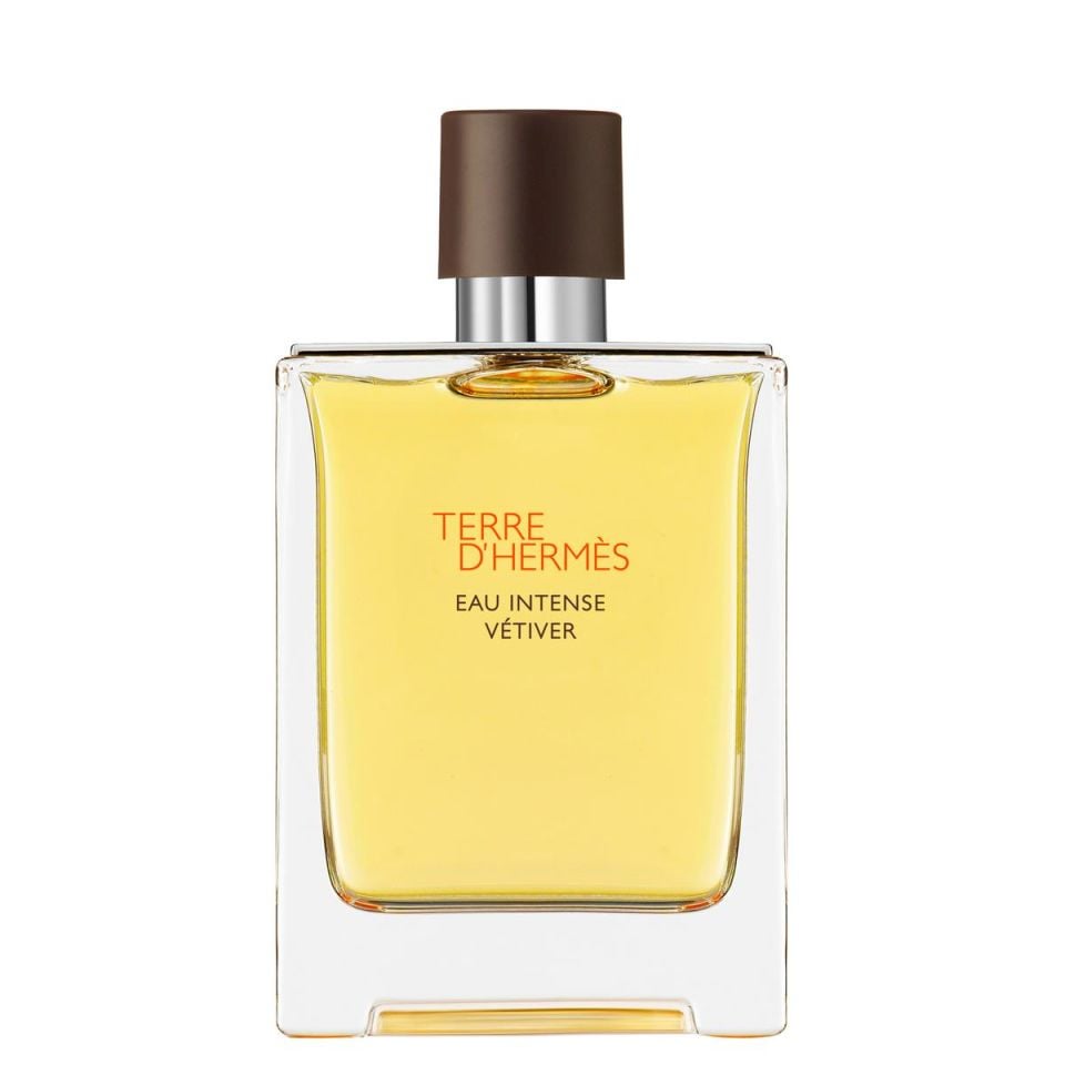 Terre d'Hermès Eau Intense Vétiver, Eau de Parfum 100 ml