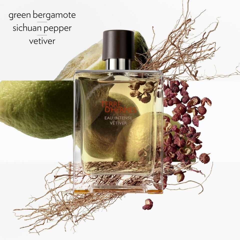 Terre d'Hermès Eau Intense Vétiver, Eau de Parfum 100 ml
