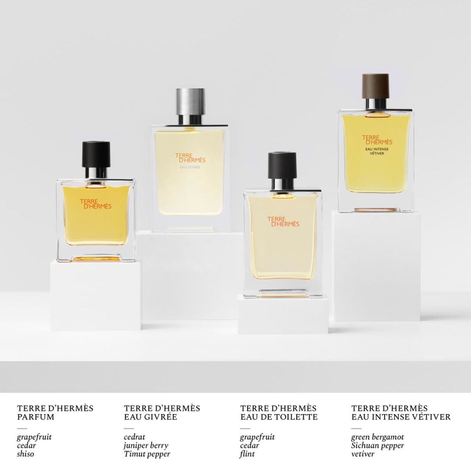 Terre d'Hermès Eau Intense Vétiver, Eau de Parfum 100 ml