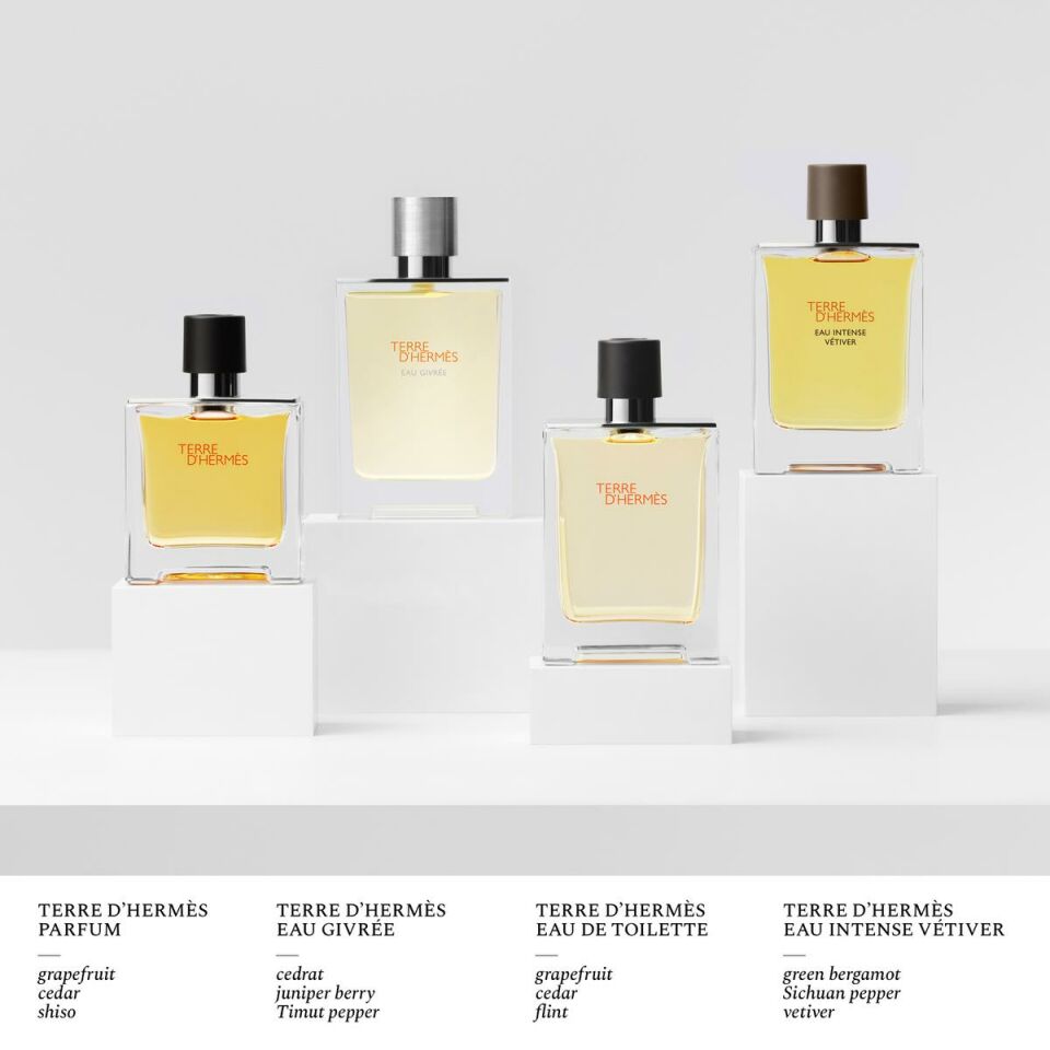 Terre d'Hermès Eau Intense Vétiver, Eau de Parfum 30 ml + 125 ml