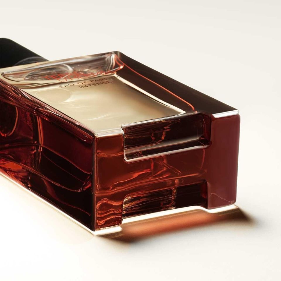 Terre d'Hermès, Eau de Parfum Intense 50 ml