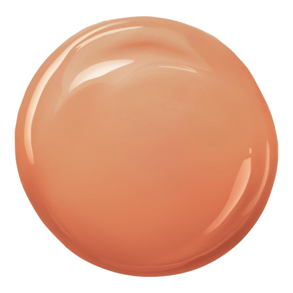 Radiant Glow Foundation RG205