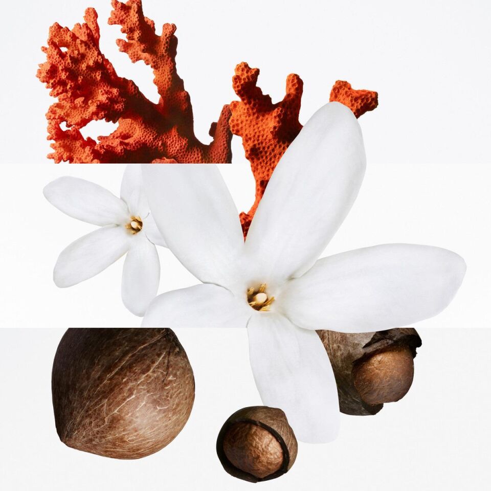 Un Jardin Sous la Mer, Eau de Toilette