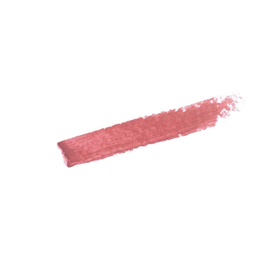 Phyto-Rouge Shine 12 Sheer Cocoa -Parlak Ruj