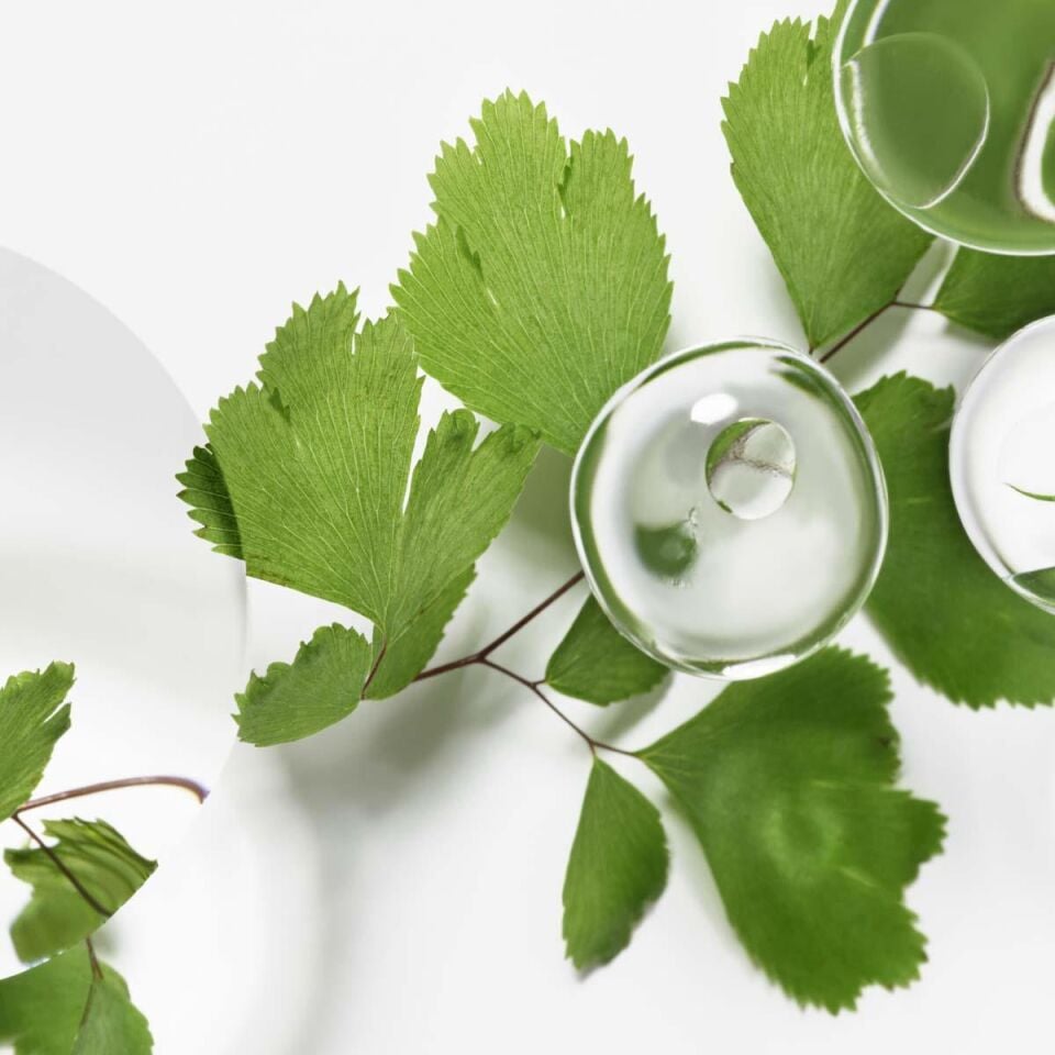 Ecological Compound Advanced Formula - Gelişmiş Ekolojik Bileşim 125 ml