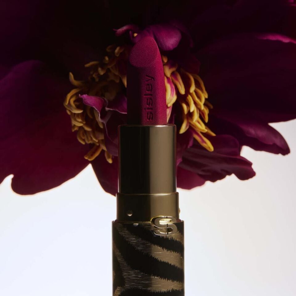 Phyto Rouge Velvet - Kadife Dokulu Mat Ruj 22 ROSE PUNCH