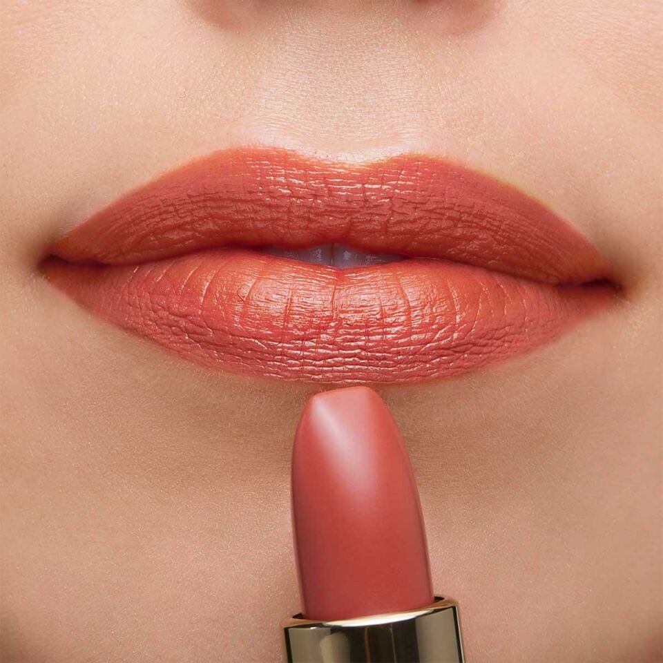 The Lipstick The Lipstick N 13 Shirayuri Nude - Ruj